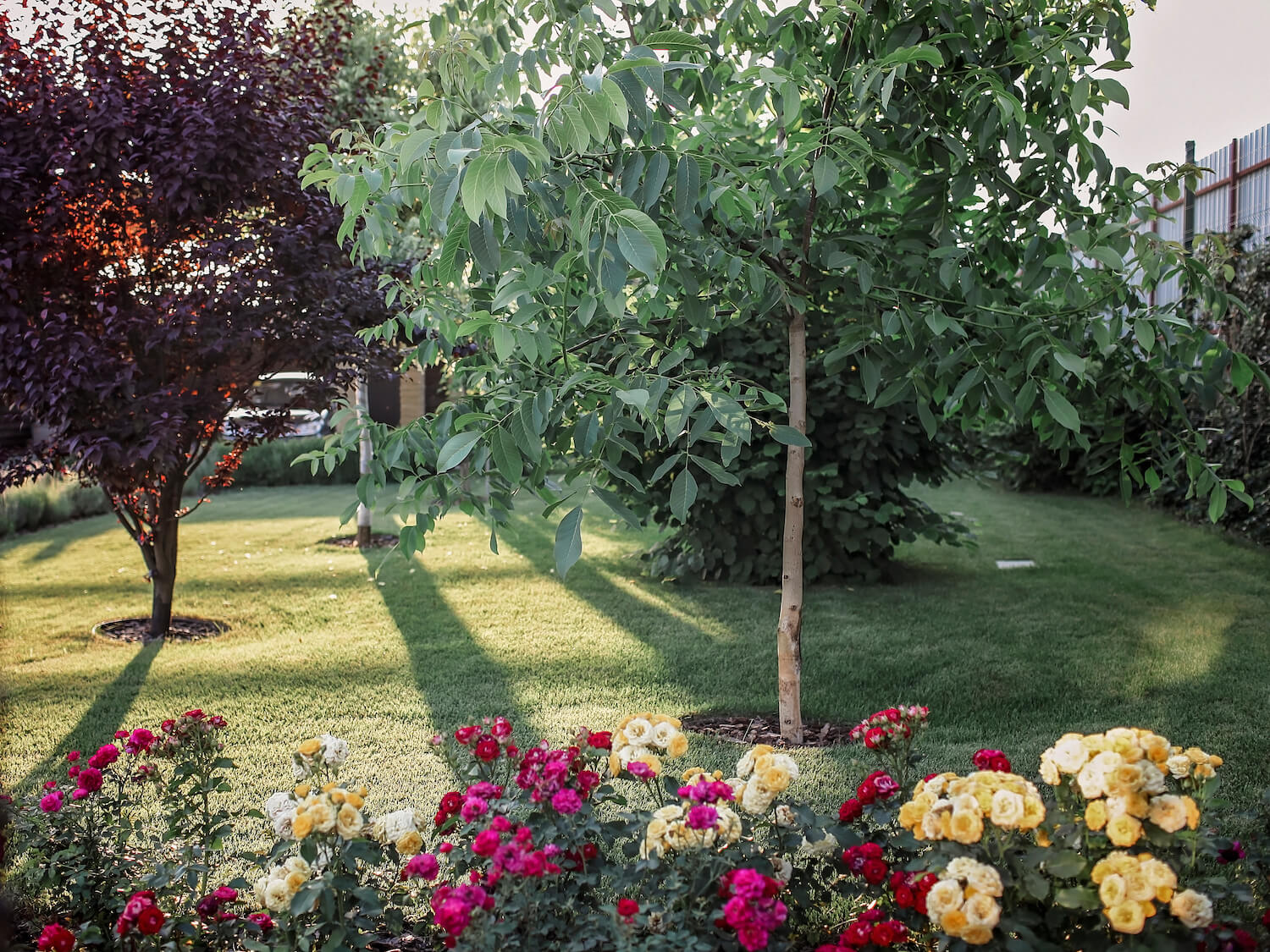 Beautiful yard maintenance